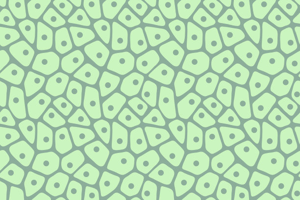 抽象的浅绿色无缝图案。植物生物细胞艺术背景。矢量插图。图片下载