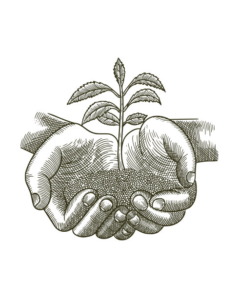 手里握着一把长着植物的土。生态或商业理念。复古雕刻绘画风格插图图片下载