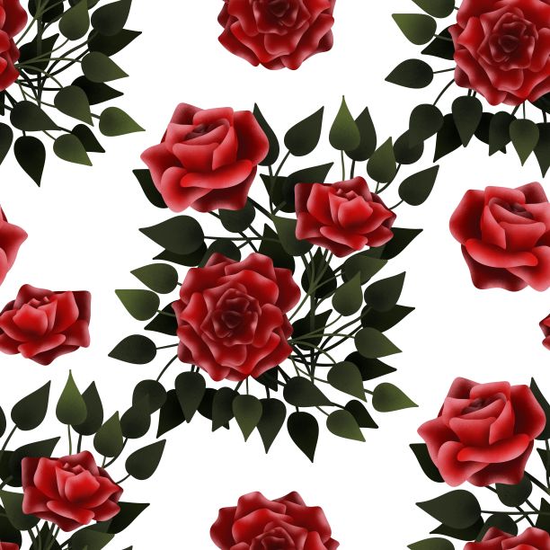 无缝图案的红玫瑰与叶子在白色的背景图片下载