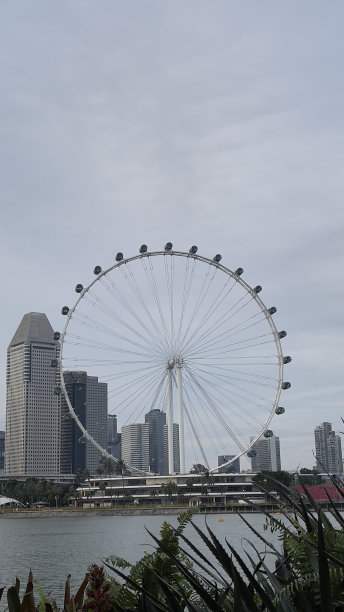 新加坡摩天观景轮图片下载