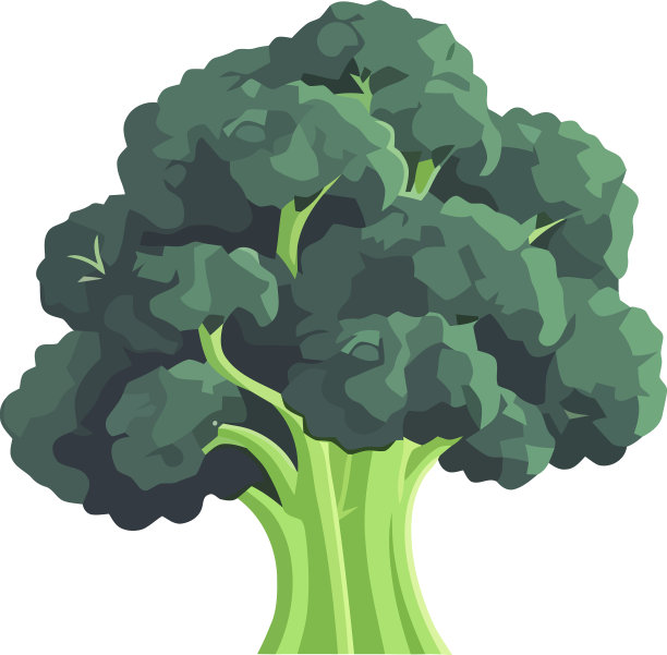 新鲜西兰花蔬菜植物图标图片下载