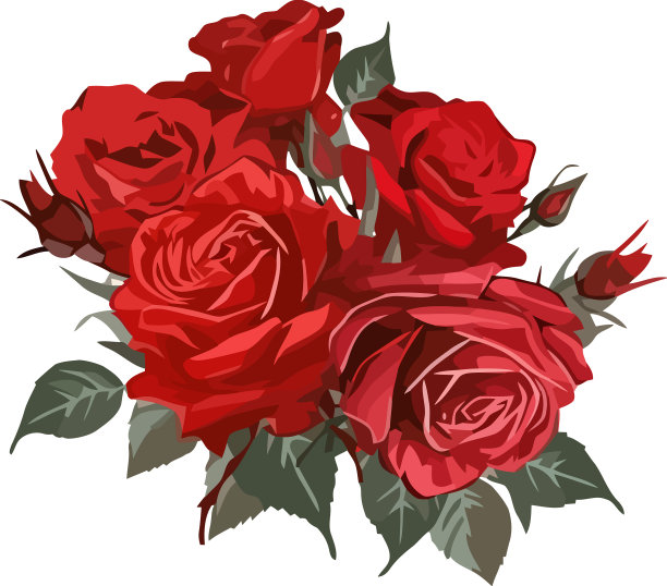 浪漫的花束象征着爱和优雅图片下载