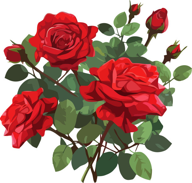 浪漫的花束象征着爱和美丽图片下载