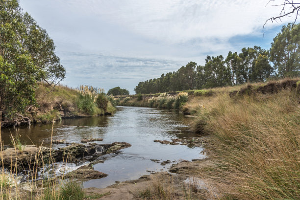 有溪流的自然景观。图片下载