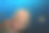 珊瑚礁水下景观图片下载