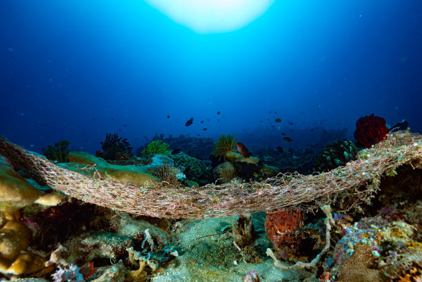 珊瑚礁上废弃的渔网图片下载