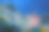 珊瑚礁水下景观图片下载