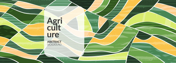 抽象美学生态绿色拼贴横幅设计。可持续发展环境绿色纹理背景矢量插图。色彩鲜艳的横向景观。全景草甸景观，抽象的小山图片下载