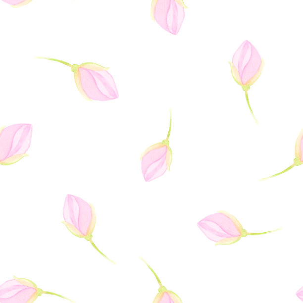 水彩画融洽的半透明透明紫色花朵与茎在白色的背景。很好的图片插图，贴纸，卡片，剪贴簿图片下载