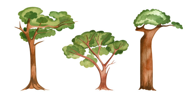 一套水彩插图。非洲树木手绘水彩在一个白色的背景。适合在织物和纸张上印刷，书籍插图和儿童房间的室内图片下载