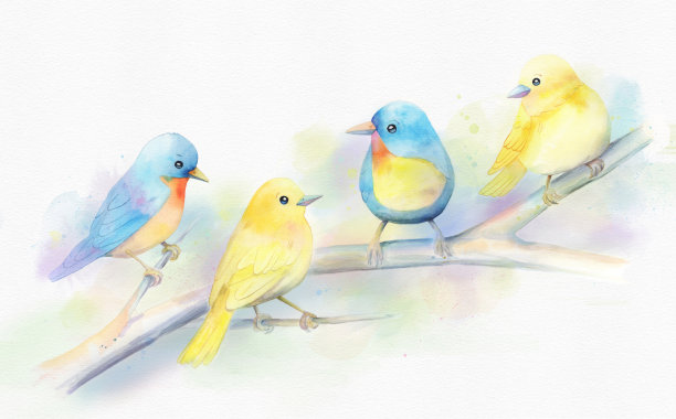 可爱的小鸟在树枝上的水彩画图片下载