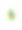 白色背景上分离的巨型蝈蝈(Stilpnochlora couloniana) -图片昆虫图片下载
