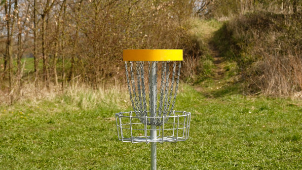 圆盘高尔夫球篮。飞盘高尔夫是户外公园的运动和爱好。金属篮子与链条盘游戏围绕着充满活力的绿树。图片下载