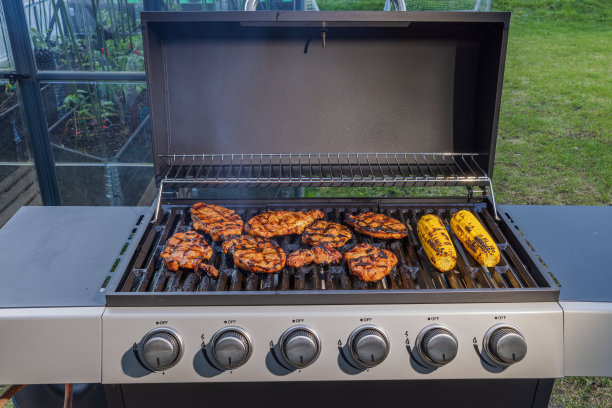 牛排、猪肉和玉米在燃气烤架上的特写镜头。健康食品理念。瑞典。图片下载