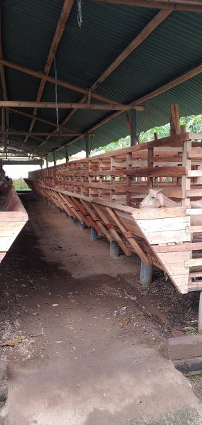 山羊笼图片下载