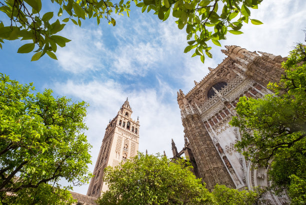西班牙安达卢西亚塞维利亚的La Giralda钟楼，从橙树庭院(Patio de los Naranjos)拍摄。图片下载