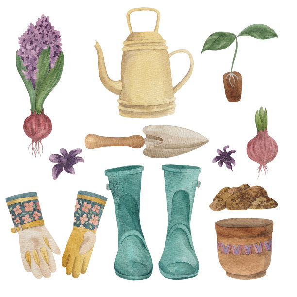 一套一套的园林工具，在花园的春天工作。植物芽、风信子花、球茎。水彩画在白底工具，春天在花园里工作。植物芽、风信子花、球茎。在白色背景上用水彩画的图片下载