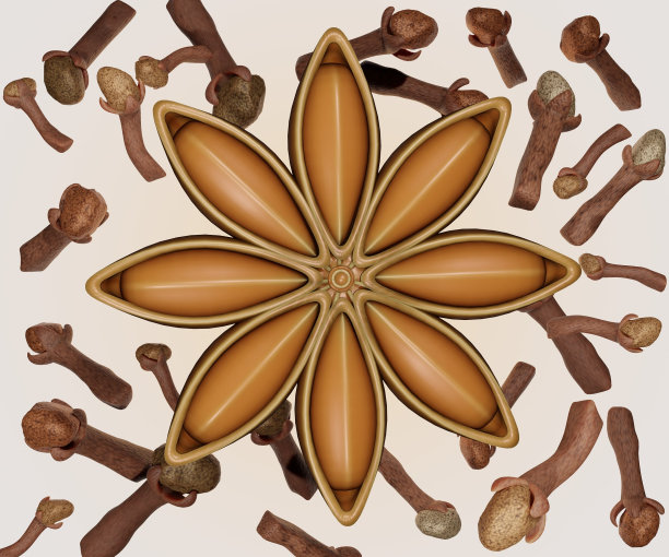 干八角的果实和种子，散落着丁香芽图片下载