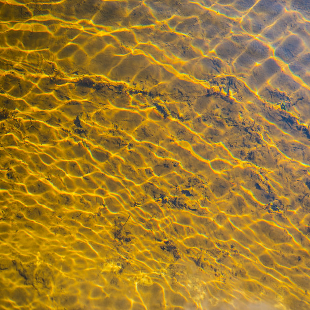 波浪在河的水面上。图片下载