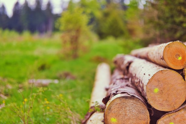 图林根的春天图片下载