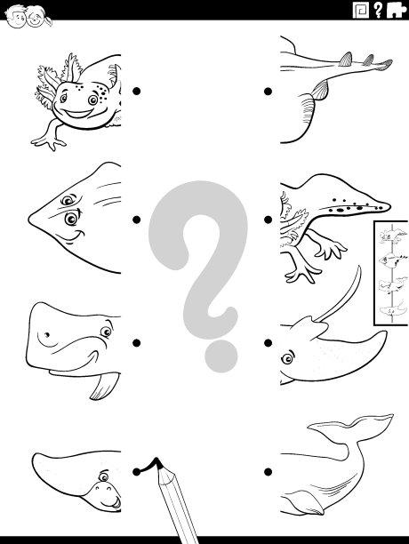 把一半的海洋动物图片活动配色页图片下载