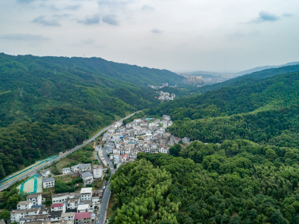 绿色森林和村庄图片下载