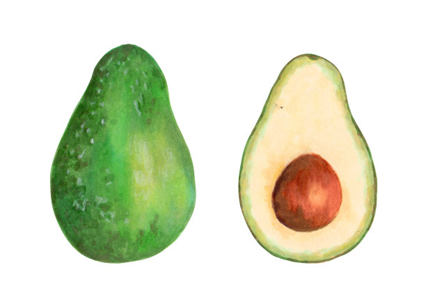 鳄梨的水果。半个带核的牛油果。现实的例子。图片下载