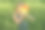 可爱的女孩拿着一张纸脸，上面有爱心而不是眼睛。图片下载