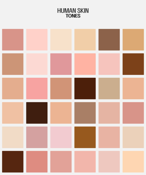 人类皮肤颜色调色板隔离在白色背景图片下载