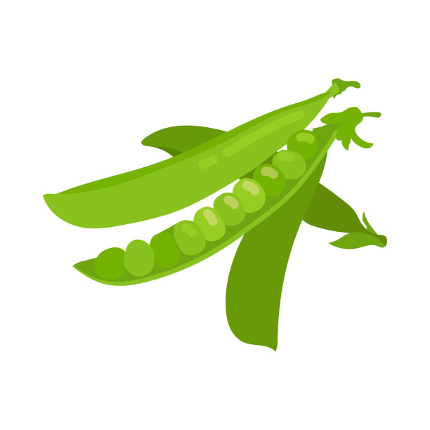 富含维生素a的绿豌豆卡通图片下载