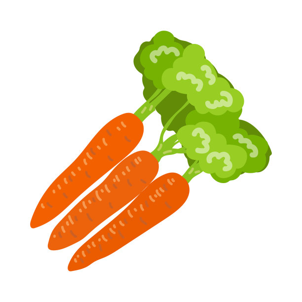 富含维生素a的胡萝卜卡通图片下载