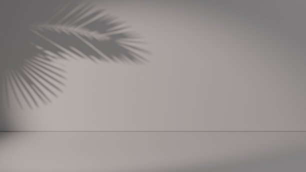 化妆品展示的最小抽象具体纹理背景。现实的高级讲台热带棕榈叶阴影米色自然墙壁。三维渲染图片下载