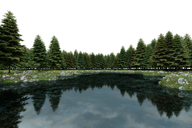 真实的湖泊和森林树木线。图片下载