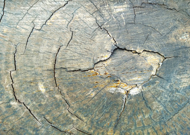 老木材上抽象的图案和光线，破碎的裂缝和纹理老棕色木材，切割树桩的图案。图片下载