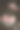 玫瑰图片下载