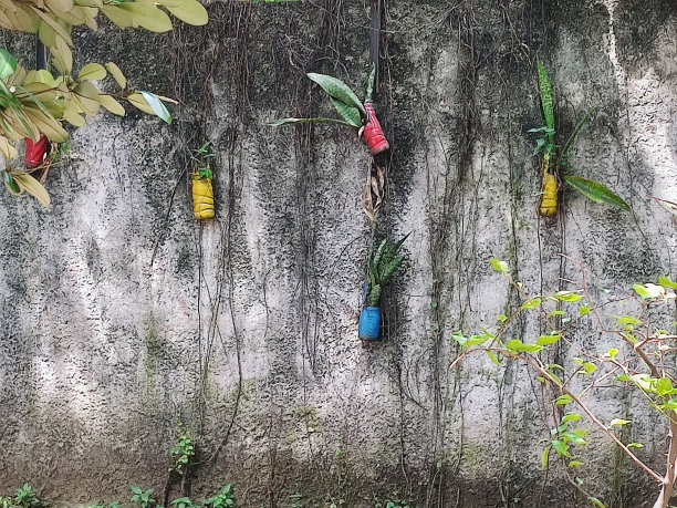 墙上挂着美丽多彩的植物图片下载