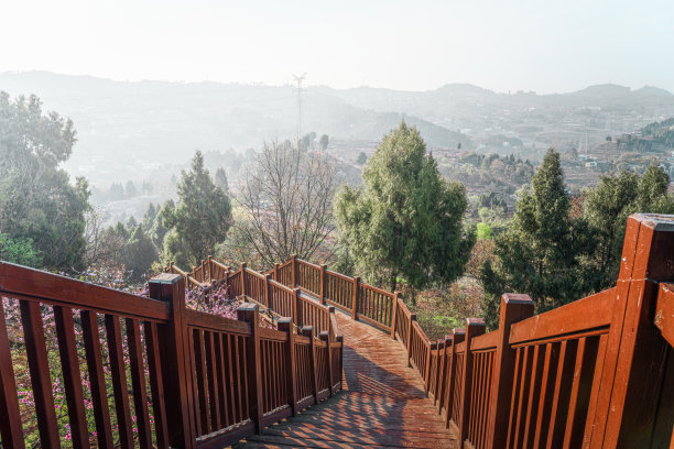 雾蒙蒙的天图片下载