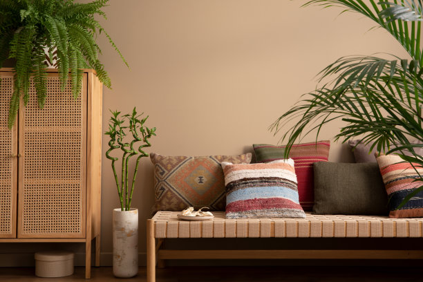 客厅内部的民族构成，有沙发、图案枕头、藤餐具柜、编织地毯、蕨类植物、花盆里的植物、棕色拖鞋、杯子和个人配饰。家居装饰。模板。图片下载