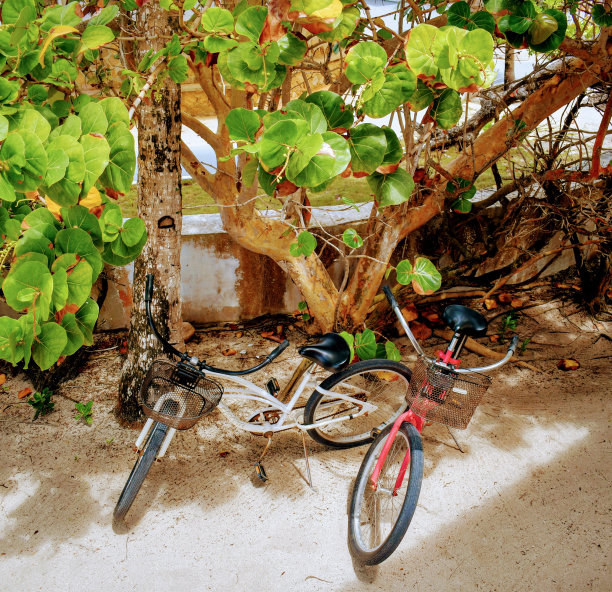 一对沙滩巡航风格的自行车图片下载