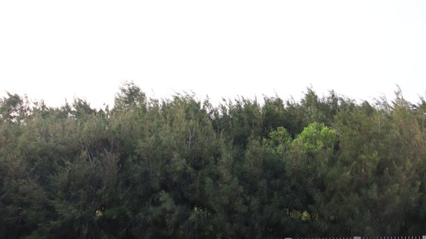 美丽的大自然图片下载