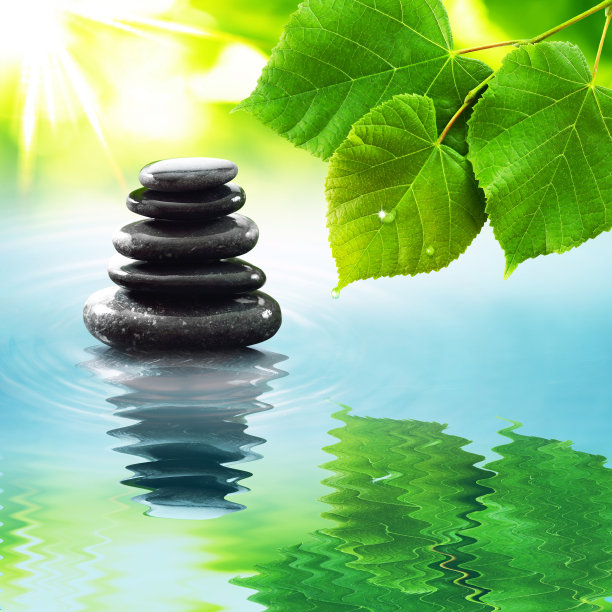 在水中平衡禅石和绿叶图片下载
