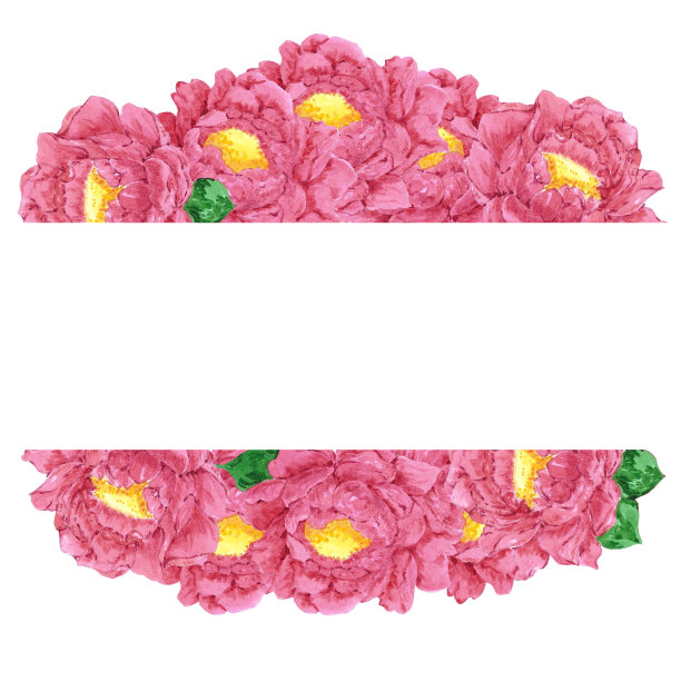 手绘水彩品红色牡丹花框。孤立在白色背景上。剪贴簿，明信片，横幅，标签，海报。图片下载
