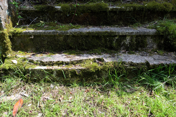 公园里的旧楼梯长满了草和苔藓图片下载