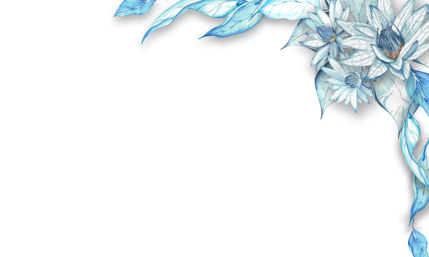 一套水彩插图。蓝蝴蝶，荷花，树叶，手。设计及明信片图片下载