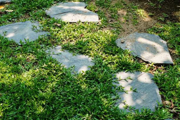 照片显示草坪上的铺路石反射着后院早晨的阳光。图片下载