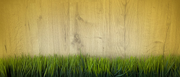 装饰边草图片下载