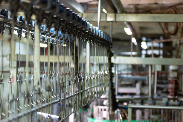 养鸡场工业流水线设备图片下载