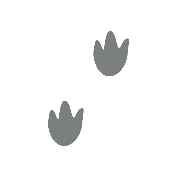 平面矢量剪影插图的脚步图片下载