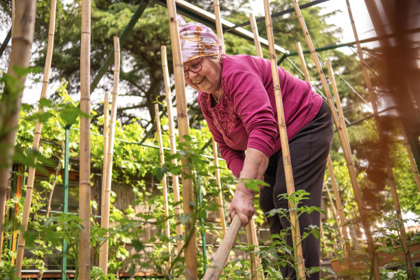 很高兴在春天在我的花园里工作图片下载