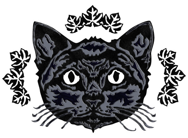 background_angry cat_01图片下载